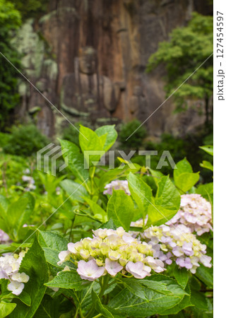 筑紫山普光寺の紫陽花と磨崖仏 筑紫山普光寺の紫陽花と磨崖仏 127454597