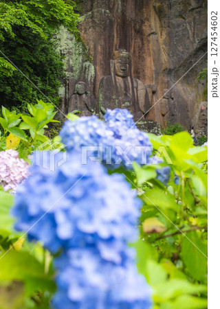 筑紫山普光寺の紫陽花と磨崖仏 筑紫山普光寺の紫陽花と磨崖仏 127454602