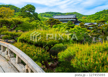 山口県 防府市 旧毛利家本邸 庭園 山口県 防府市 旧毛利家本邸 庭園 127455093