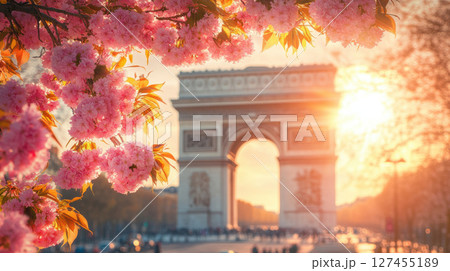 cherry blossoms triomphe sunset scene cityscape 127455189