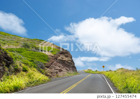 Scenic road in Hawaii winding through lush green landscape 127455474