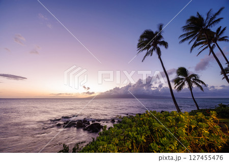 Stunning Hawaii ocean sunset with silhouettes of palm trees swaying against a vibrant sky Stunning Hawaii ocean sunset with silhouettes of palm trees swaying against a vibrant sky 127455476