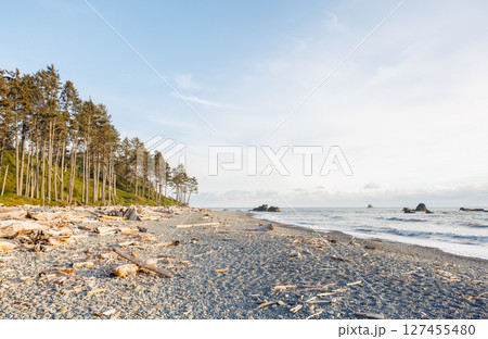 Pacific Ocean coast near Olympic National Park 127455480