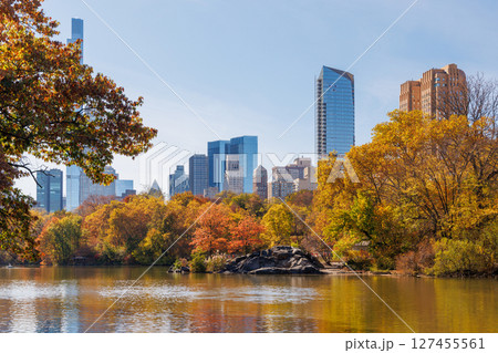 Central Park in New York City on a sunny autumn Central Park in New York City on a sunny autumn 127455561