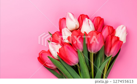 Red and white tulip bouquet on a soft pink background 127455613