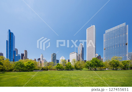 Sunny view of downtown Chicago with iconic skyscrapers rising above a lush green park meadow Sunny view of downtown Chicago with iconic skyscrapers rising above a lush green park meadow 127455651
