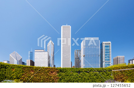 Sunny view of downtown Chicago with iconic skyscrapers rising above a lush green park Sunny view of downtown Chicago with iconic skyscrapers rising above a lush green park 127455652