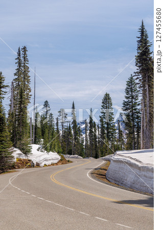 Snow covered road in Mount Rainier National Park surrounded by fir trees 127455680