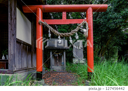 朱色の鳥居が鮮やかな森山神社の静寂な境内の風景 神奈川県葉山町 朱色の鳥居が鮮やかな森山神社の静寂な境内の風景 神奈川県葉山町 127456442