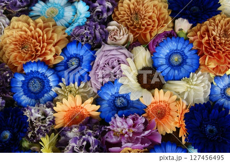 水に浮かぶガーベラ 水に浮かぶガーベラ 127456495