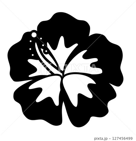 シンプルなハイビスカスのイラスト 127456499