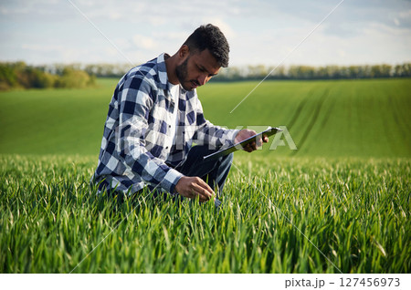 Sitting, checking the wheat, holding notepad. Handsome Indian man is on the agricultural field 127456973