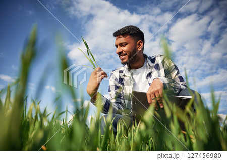 View through grass. Holding wheat and checking. Handsome Indian man is on the agricultural field View through grass. Holding wheat and checking. Handsome Indian man is on the agricultural field 127456980