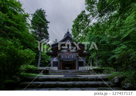 公時神社の美しい本殿と緑豊かな自然の景観　神奈川県箱根町 127457117