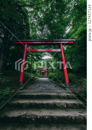 箱根の緑に映える公時神社の美しい鳥居と参道　神奈川県箱根町 127457124