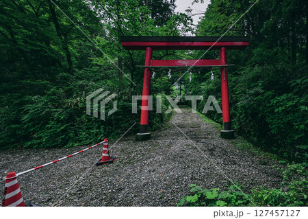 緑深い森林に立つ朱色の鳥居が美しい公時神社　神奈川県箱根町 127457127