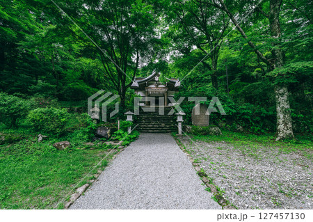 箱根の深緑の中で静かに佇む公時神社の神聖な空間　神奈川県箱根町 127457130