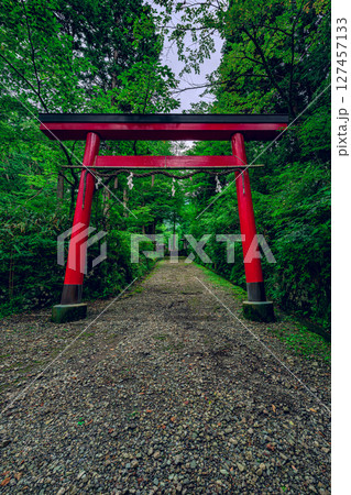 緑深い森林に立つ朱色の鳥居が美しい公時神社　神奈川県箱根町 127457133