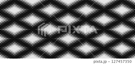 Abstract geometric black and white graphic design print halftone pattern. Vector illustration. 127457350