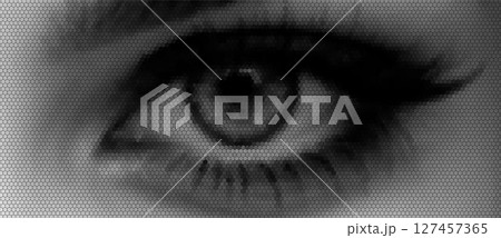 Vector illustration of a human eye made using a halftone hexagon pattern. Vector illustration of a human eye made using a halftone hexagon pattern. 127457365