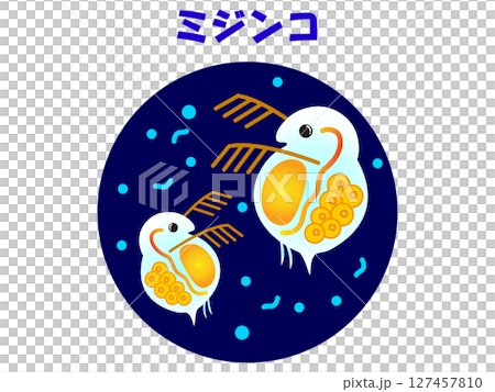 顕微鏡で観察したミジンコのイラスト素材 127457810