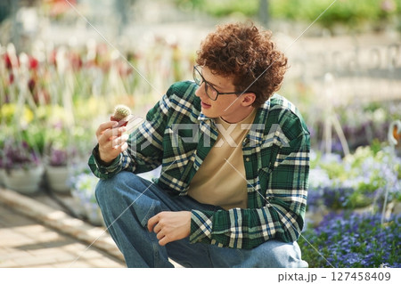 Sitting and holding the little cactus. Young man with curly hair and in glasses is in greenhouse 127458409