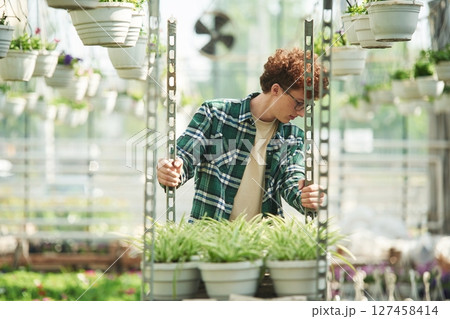 Plants in the pots. Young man with curly hair and in glasses is in greenhouse 127458414