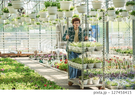 Plants in the pots. Young man with curly hair and in glasses is in greenhouse 127458415