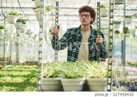 Plants in the pots. Young man with curly hair and in glasses is in greenhouse Plants in the pots. Young man with curly hair and in glasses is in greenhouse 127458416