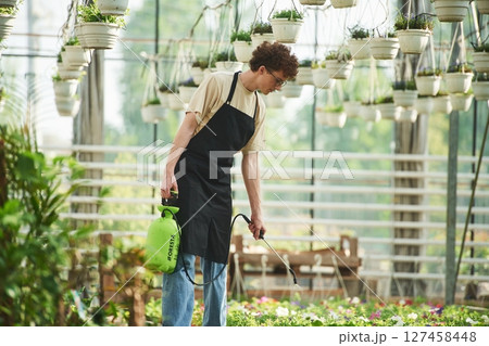 Watering the plants. Young man with curly hair and in glasses is in greenhouse Watering the plants. Young man with curly hair and in glasses is in greenhouse 127458448
