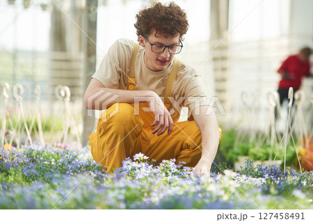 Yellow colored uniform. Young man with curly hair and in glasses is in greenhouse Yellow colored uniform. Young man with curly hair and in glasses is in greenhouse 127458491