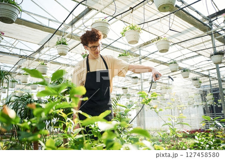 Daily watering. Young man with curly hair and in glasses is in greenhouse Daily watering. Young man with curly hair and in glasses is in greenhouse 127458580