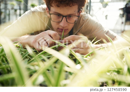 Conception of flowering. Taking care of plants. Young man with curly hair and in glasses is in greenhouse 127458590