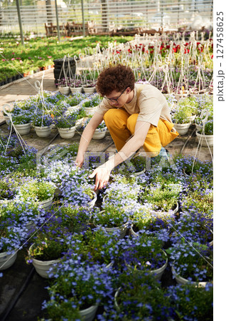 Many of the pots with flowers. Young man with curly hair and in glasses is in greenhouse 127458625
