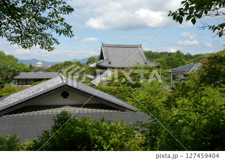 哲学の道 光雲寺遠景 京都市左京区 哲学の道 光雲寺遠景 京都市左京区 127459404