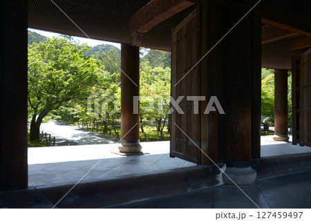 南禅寺　三門の柱と新緑の境内　京都市左京区 127459497