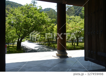 南禅寺 三門の柱と新緑の境内 京都市左京区 南禅寺 三門の柱と新緑の境内 京都市左京区 127459498