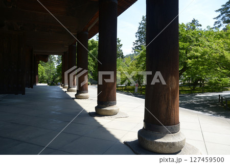 南禅寺　三門の柱と新緑の境内　京都市左京区 127459500