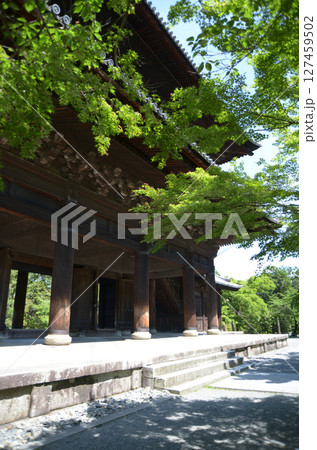 南禅寺　新緑の三門　京都市左京区 127459502