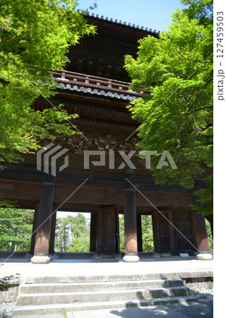 南禅寺　新緑の三門　京都市左京区 127459503