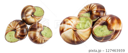 escargot snail filled with garlic and parsley butter isolated on white background. Top view. Flat lay escargot snail filled with garlic and parsley butter isolated on white background. Top view. Flat lay 127463939