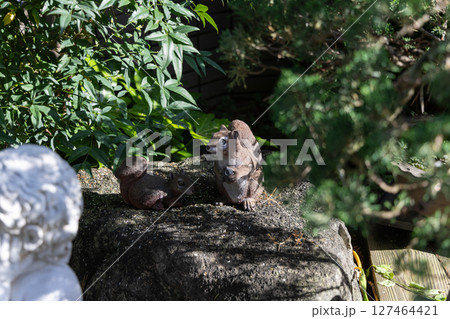 自宅庭のリスの置物 127464421
