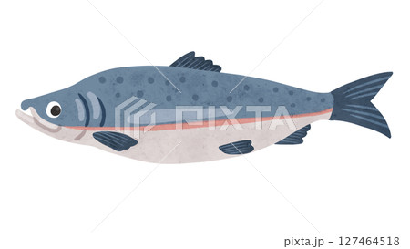 鮭 水彩風手描きイラスト 鮭 水彩風手描きイラスト 127464518