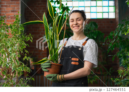 Running of own business. Young woman florist holding plant in pot wearing apron in botanical store. Happy small business owner working at flower shop smiling surrounded by plants. Small business 127464551