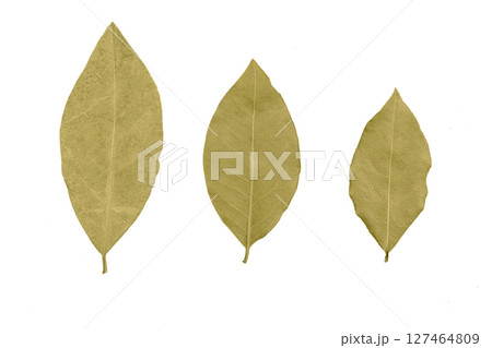 Dry bay leaves on isolated white background. Dry bay leaves on isolated white background. 127464809