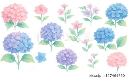 透明背景の水彩アジサイ素材セット 127464860