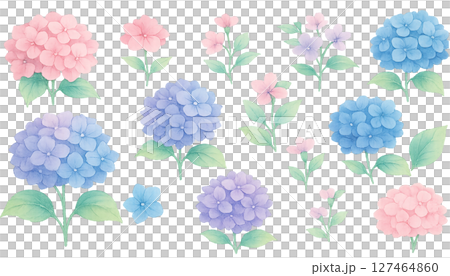 透明背景の水彩アジサイ素材セット 127464860