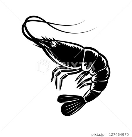 Illustration of shrimp in monochrome style. Shrimp in logo style. Illustration of shrimp in monochrome style. Shrimp in logo style. 127464970
