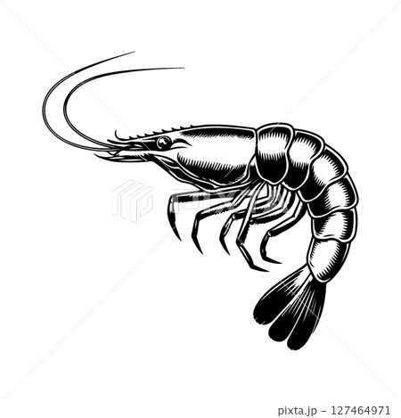 Illustration of shrimp in monochrome style. Shrimp in logo style. Design element for logo, emblem, sign, badge, poster. Vector illustration 127464971