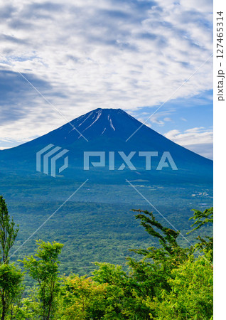 山梨百名山・竜ヶ岳から見る富士山と新緑の絶景 127465314